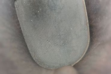 Викуп каталізатора 3F1C 5F297 AB Марка автомобіля Ford     Вставка каталізатора Кераміка Тип палива Бензин