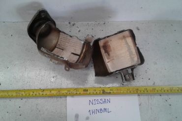 Викуп каталізатора 1HN--- Series 1HNBML