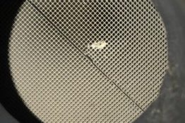 Викуп каталізатора BL34 5K282 AA  FoMoCo Марка автомобіля Ford     Вставка каталізатора Кераміка Тип палива Бензин Каталітична марка FoMoCo