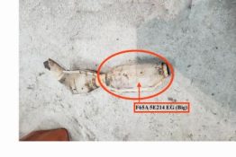 Викуп каталізатора F65A 5E214 EG (REAR) M6 158 RUM Марка автомобіля Ford Модель автомобіля Ford F150   Вставка каталізатора Кераміка Тип палива Бензин