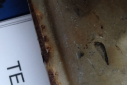 Викуп каталізатора BPG2 Марка автомобіля Mazda     Вставка каталізатора Кераміка Тип палива Бензин