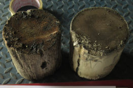 Викуп каталізатора 4X700dk Марка автомобіля Hyundai|Kia Модель автомобіля Hyundai Terracan   Вставка каталізатора Кераміка Тип палива Бензин