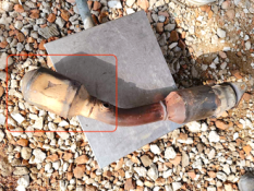 Викуп каталізатора GQ8 Марка автомобіля Toyota     Вставка каталізатора Кераміка Тип палива Бензин